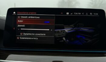 BMW Seria 5 530e Luxury Line full