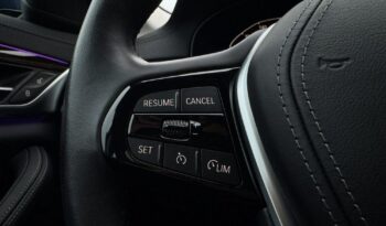 BMW Seria 5 530e Luxury Line full