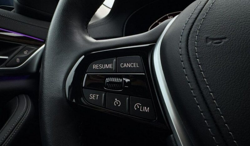 BMW Seria 5 530e Luxury Line full