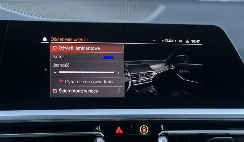 BMW Seria 3 318i Sport Line full