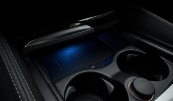 BMW Seria 5 530e Luxury Line full