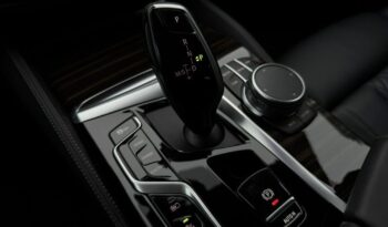 BMW Seria 5 530e Luxury Line full