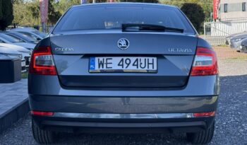 Škoda Octavia krajowy  Poleasingowy I właściciel diesel 1.6 ASO VAT 23% Bezwypadkowy III (2013-) full