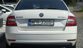 Škoda Octavia Salon Polska Poleasingowy I właściciel Serwis ASO VAT 23% Bezwypadkowy III (2013-) full