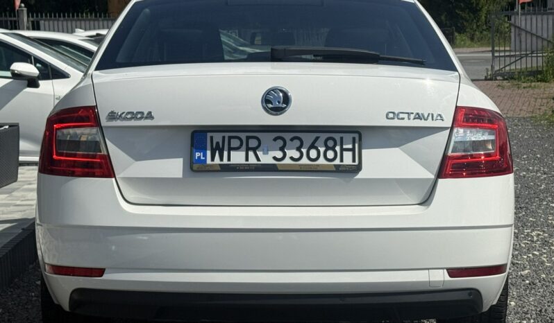 Škoda Octavia Salon Polska Poleasingowy I właściciel Serwis ASO VAT 23% Bezwypadkowy III (2013-) full