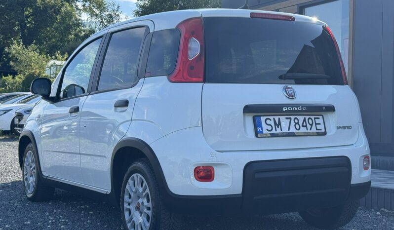 Fiat Panda Serwis ASO Salon Polska Poleasingowy I właściciel VAT 23% Bezwypadkowy III (2011-) full