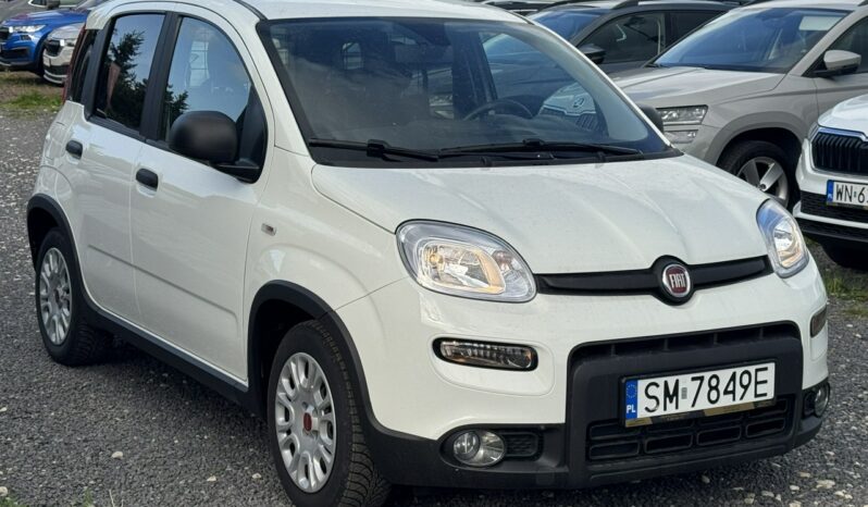 Fiat Panda Salon Polska Poleasingowy I właściciel Serwis ASO VAT 23% Bezwypadkowy III (2011-) full