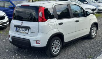 Fiat Panda Salon Polska Poleasingowy I właściciel Serwis ASO VAT 23% Bezwypadkowy III (2011-) full