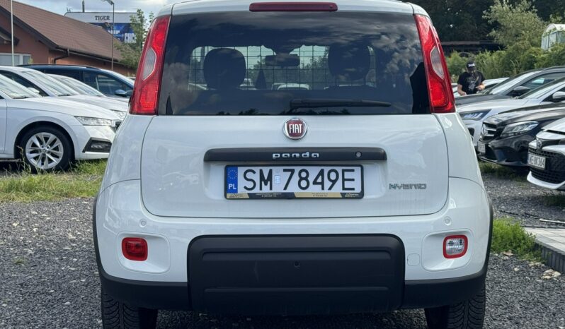 Fiat Panda Salon Polska Poleasingowy I właściciel Serwis ASO VAT 23% Bezwypadkowy III (2011-) full