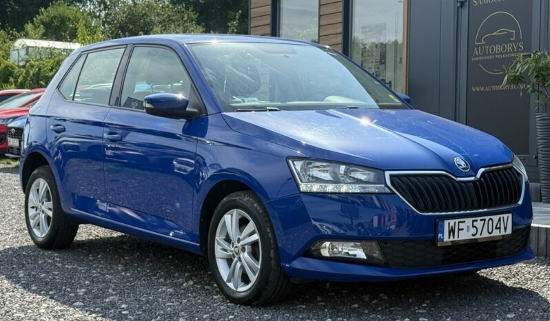 Škoda Fabia I właściciel Salon Polska Poleasingowy Serwis ASO VAT 23% Bezwypadkowy III (2014-) full